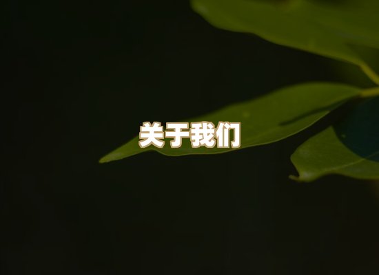 关于瑞达取证